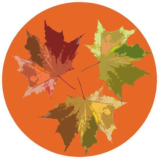 Autumn Leaves Orange 16" Round Pebble Placemat Set of 4